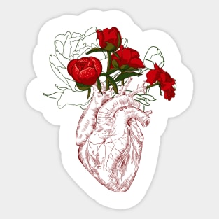 Human heart with flowers Sticker